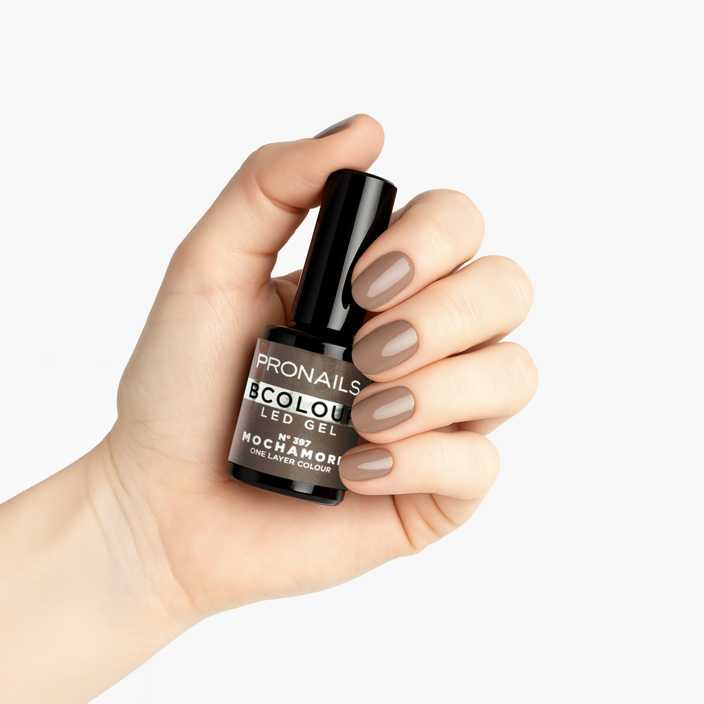 BColour Box AW25/26