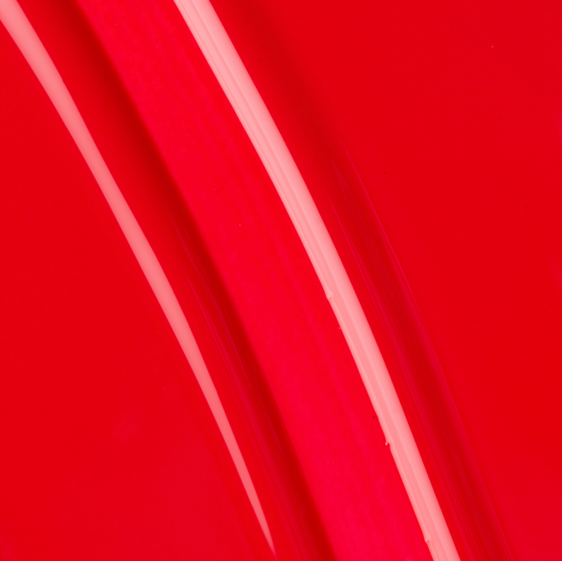 Gellak 130 Law Of The Jungle