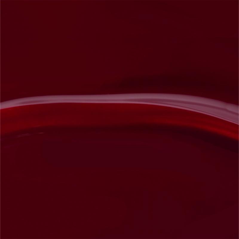 Sopolish 339 Radicchio