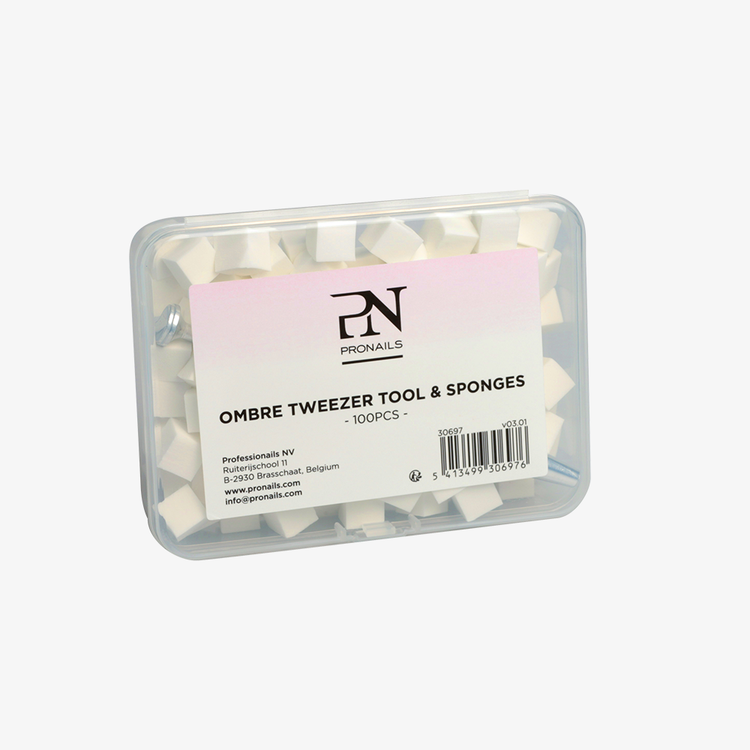 Ombre Tweezer Tool & Sponges