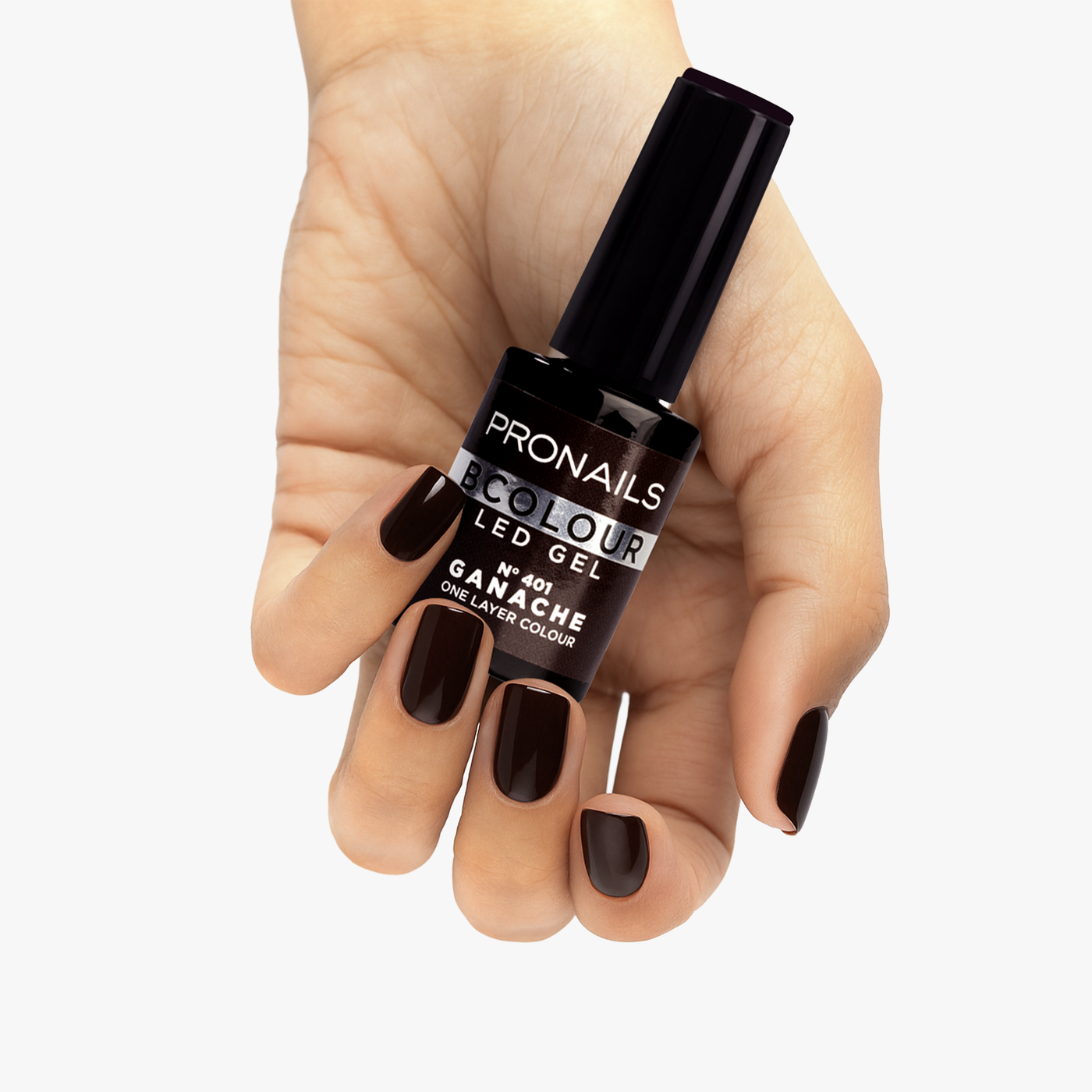 BColour 401 Ganache
