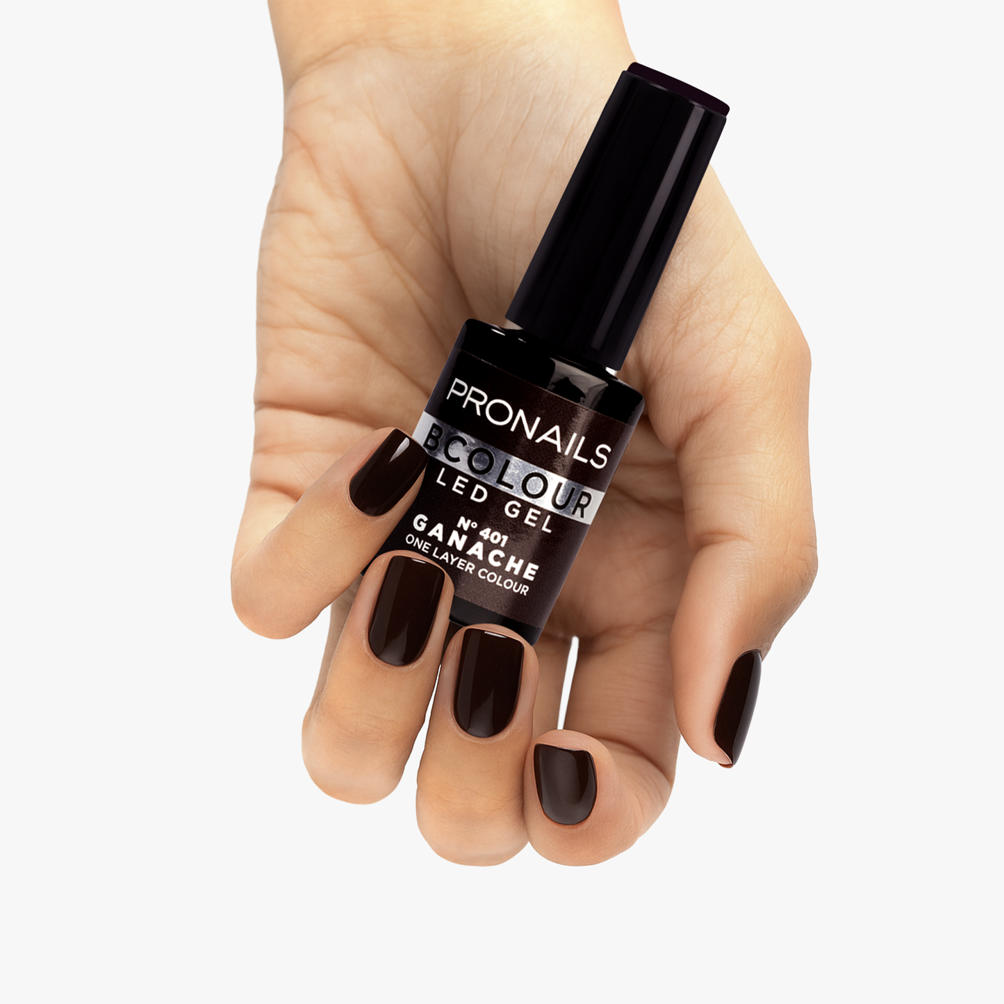 BColour 401 Ganache