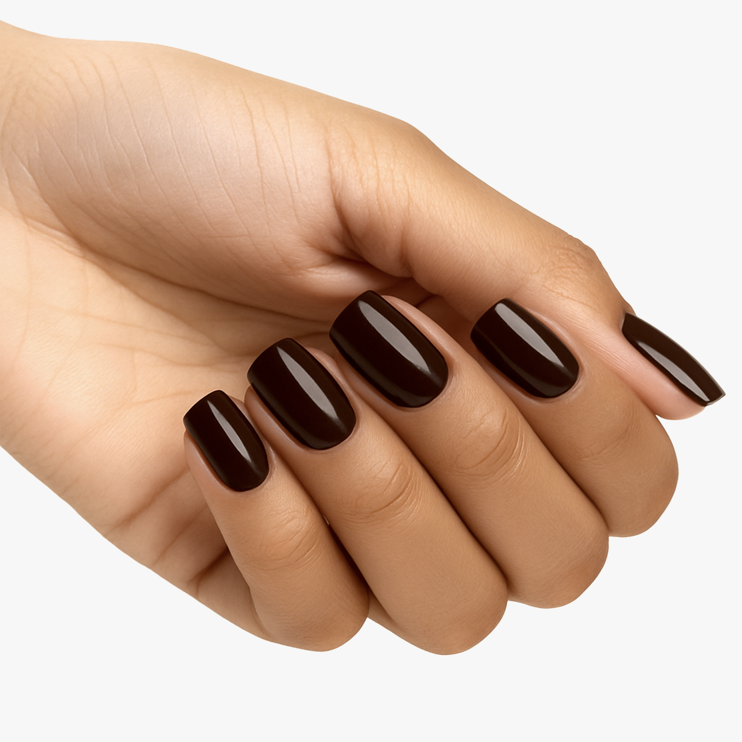 BColour 401 Ganache