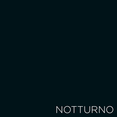 LongWear 419 Notturno