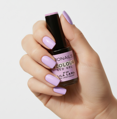 BColour 411 Lila Lama