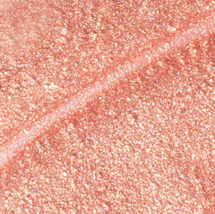 LongWear 348 Glitter Galore