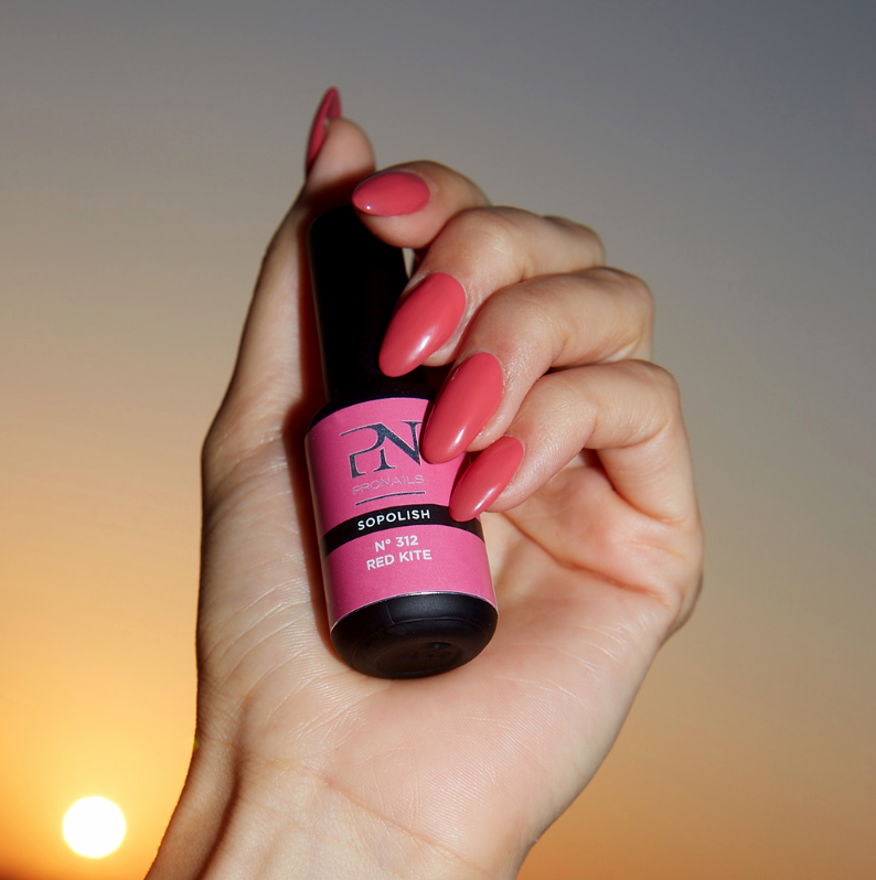 Sopolish 312 Red Kite